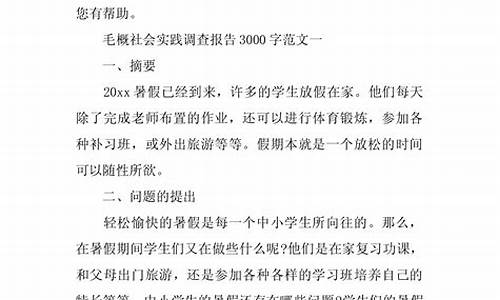 社会实践报告3000字 大学生_寒假社会