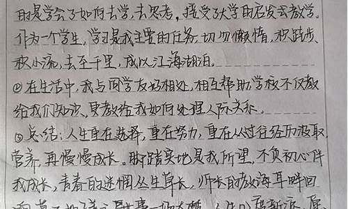 学生学年鉴定表个人总结