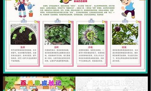 观察植物生长过程日记_观察植物生长过程日