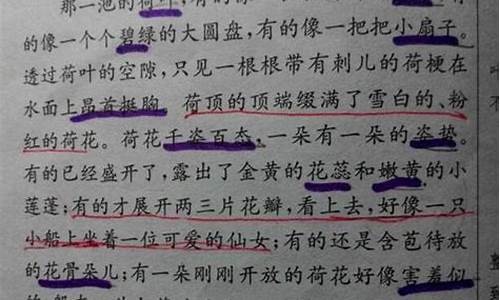 精品美文摘抄_精品美文摘抄300字