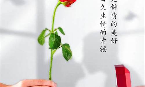 情人节文案短句干净治愈_情人节文案短句干净治愈夫妻